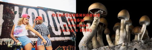 шишки Дмитриев