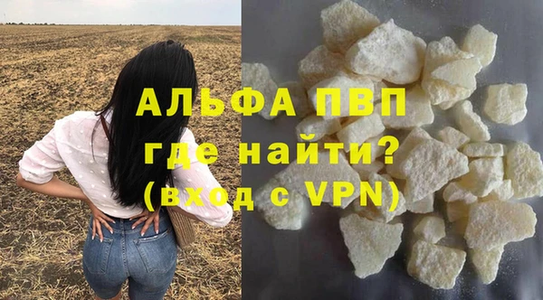 шишки Дмитриев