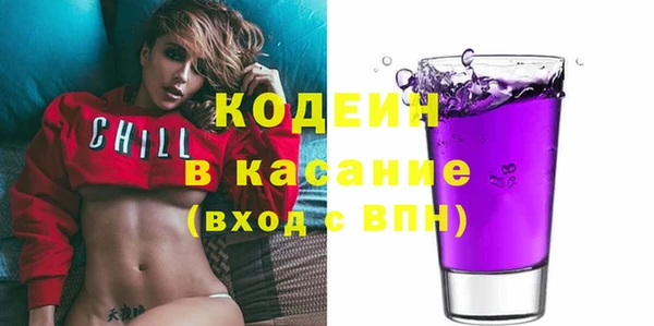 шишки Дмитриев