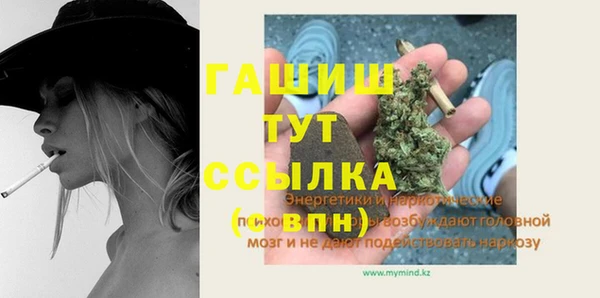 шишки Дмитриев