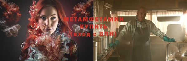 шишки Дмитриев