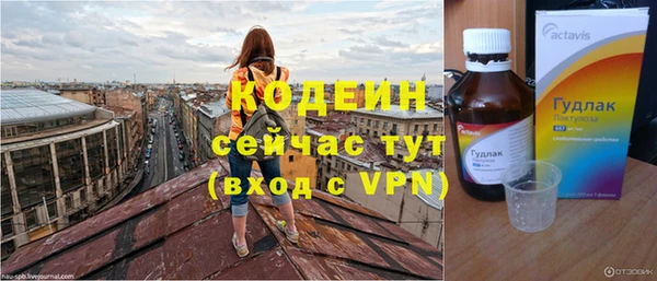 шишки Дмитриев
