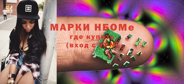 шишки Дмитриев