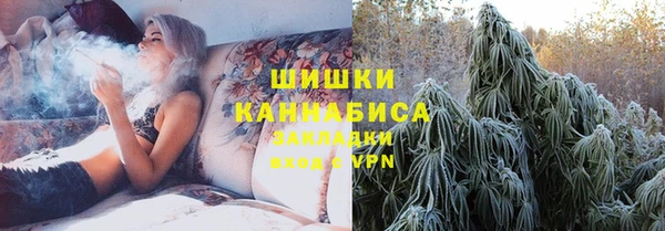 шишки Дмитриев