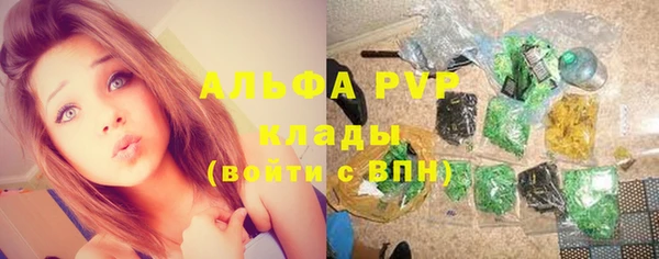 шишки Дмитриев