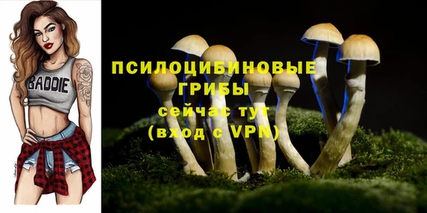 ALPHA-PVP Дмитров